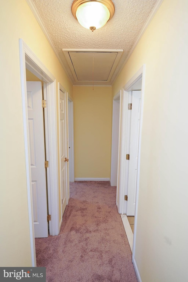 120 Ridgefield Ln, Fruitland, MD 21826 - hallway with attic access, carpet flooring, and a textured ceiling