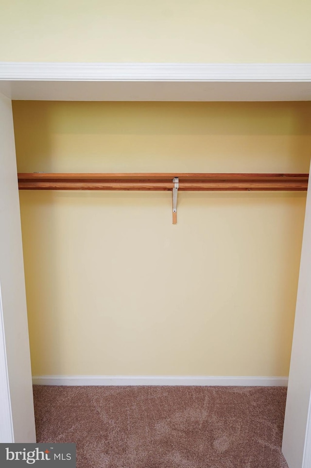 120 Ridgefield Ln, Fruitland, MD 21826 - view of closet