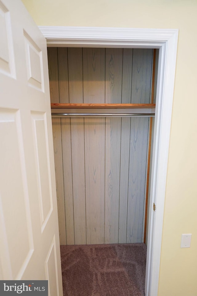 120 Ridgefield Ln, Fruitland, MD 21826 - view of closet