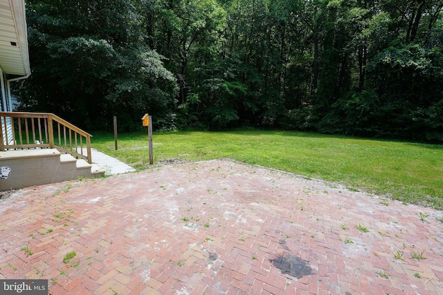 120 Ridgefield Ln, Fruitland, MD 21826 - view of patio