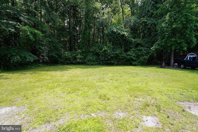 120 Ridgefield Ln, Fruitland, MD 21826 - view of grassy yard