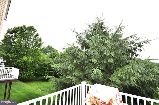65 Emily Ct, Reading, PA 19606 - view of balcony