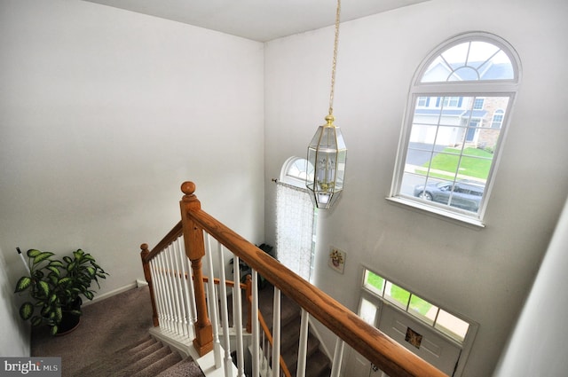 65 Emily Ct, Reading, PA 19606 - staircase featuring carpet and a chandelier