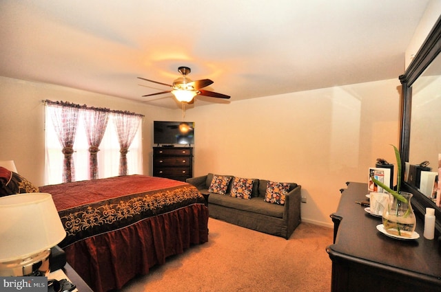 65 Emily Ct, Reading, PA 19606 - bedroom featuring carpet and ceiling fan