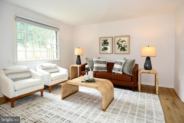 9835 Saint Cloud Ct, Fairfax, VA 22031 - living room with light wood-style flooring and baseboards