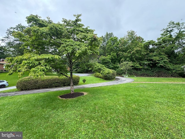 400 27th St, Huntingdon, PA 16652 - view of green lawn
