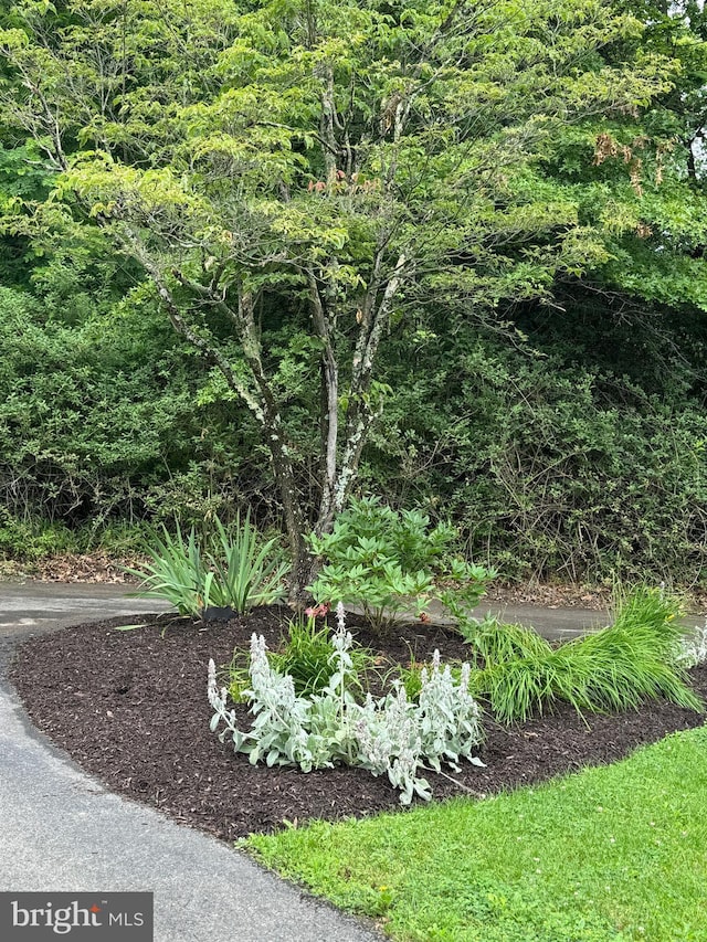 400 27th St, Huntingdon, PA 16652 - view of local wilderness