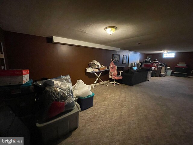 1105 Darlington Rd, Beaver Falls, PA 15010 - living room with carpet floors