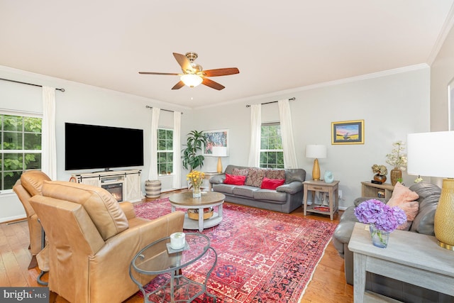 1404 Preserve Ln, Fredericksburg, VA 22401 - living area with light wood-style floors, a ceiling fan, and ornamental molding