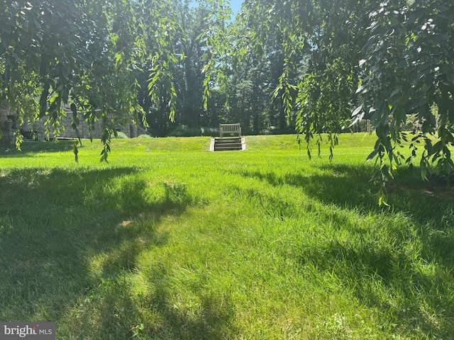 306A Summit Dr, Bryn Mawr, PA 19010 - view of yard