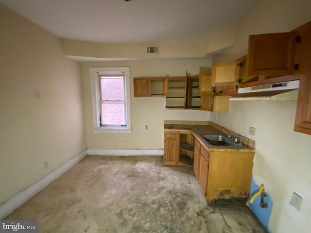 2110 N Charles St N, Baltimore, MD 21218 - kitchen with under cabinet range hood and brown cabinets