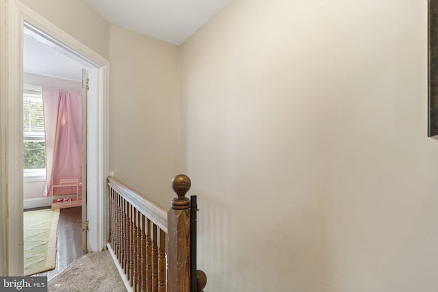 33 Waverly Rd, Wyncote, PA 19095 - view of hallway