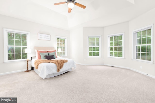 4049 Chatham Dr, King George, VA 22485 - bedroom with multiple windows, carpet, and ceiling fan