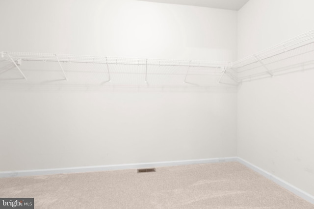 4049 Chatham Dr, King George, VA 22485 - walk in closet with carpet