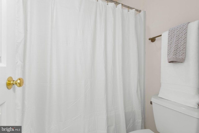4049 Chatham Dr, King George, VA 22485 - bathroom with toilet and a shower with curtain