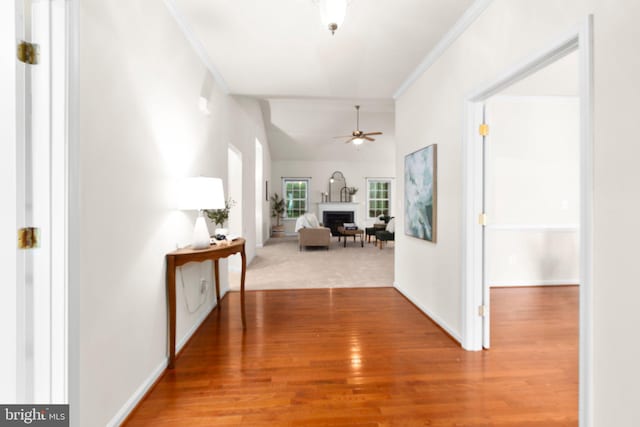 4049 Chatham Dr, King George, VA 22485 - hall featuring ornamental molding and wood finished floors