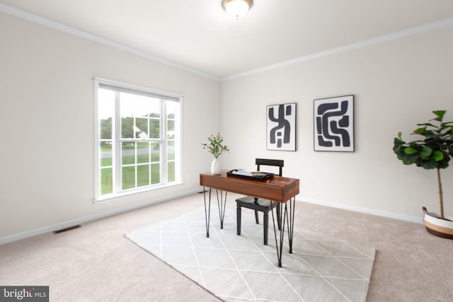 4049 Chatham Dr, King George, VA 22485 - office area featuring light colored carpet and ornamental molding