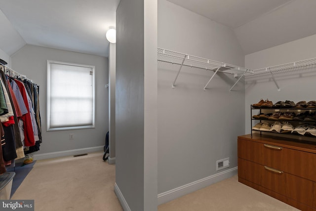13 Buckwalter Cir, Royersford, PA 19468 - spacious closet with vaulted ceiling and light carpet