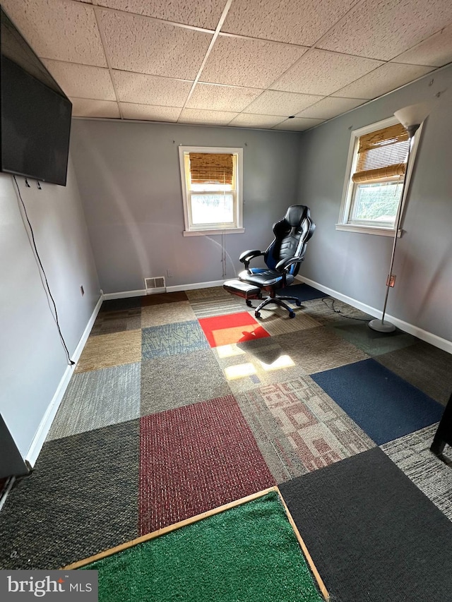 2221 Lincoln Ave, Reading, PA 19609 - workout room featuring a paneled ceiling, healthy amount of natural light, and carpet floors