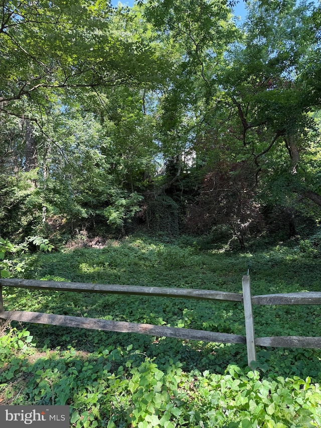 306 Euclid Ave, Wilmington, DE 19809 - view of yard