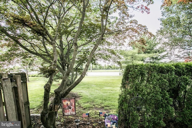 117 Clemens Ct, Lansdale, PA 19446 - view of grassy yard