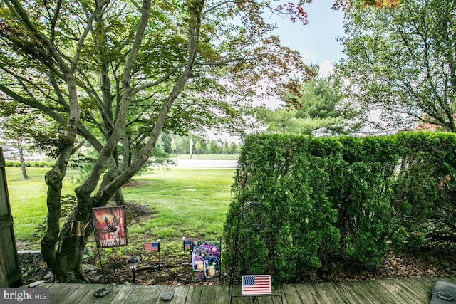 117 Clemens Ct, Lansdale, PA 19446 - view of green lawn