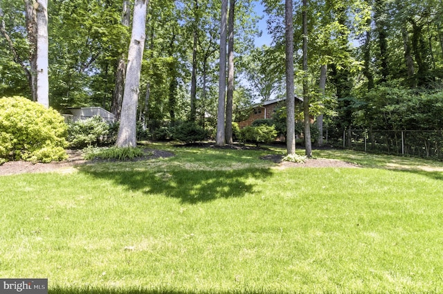 8202 Mockingbird Dr, Annandale, VA 22003 - view of yard