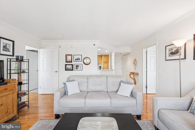 2001 Hamilton St Unit 1205, Philadelphia, PA 19130 - living room with light wood-style floors and ornamental molding