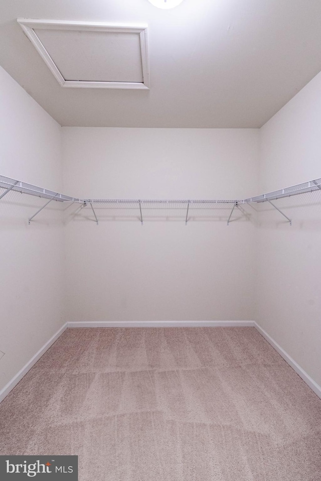 4251 Beech Dr, Nazareth, PA 18064 - walk in closet with carpet floors and attic access