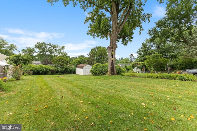 12703 Bluhill Rd, Silver Spring, MD 20906 - view of yard featuring a storage unit