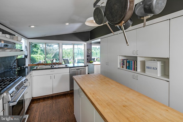 697 Prospect Ave, Princeton, NJ 08540 - kitchen featuring butcher block countertops, appliances with stainless steel finishes, lofted ceiling, dark wood-style floors, and plenty of natural light