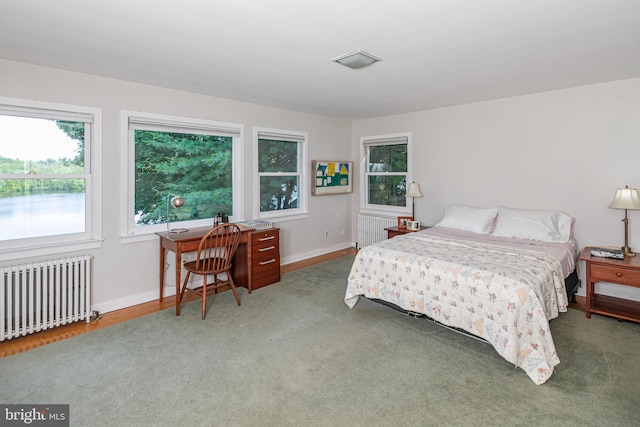 697 Prospect Ave, Princeton, NJ 08540 - carpeted bedroom featuring radiator heating unit and a desk