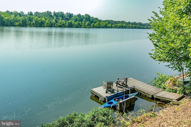 697 Prospect Ave, Princeton, NJ 08540 - dock with a water view and a forest view