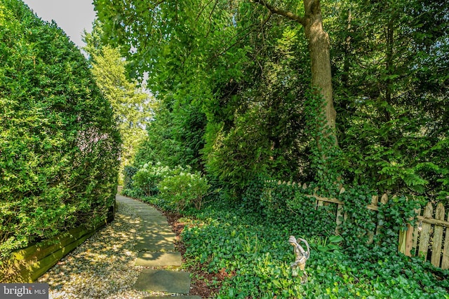 697 Prospect Ave, Princeton, NJ 08540 - view of undeveloped land