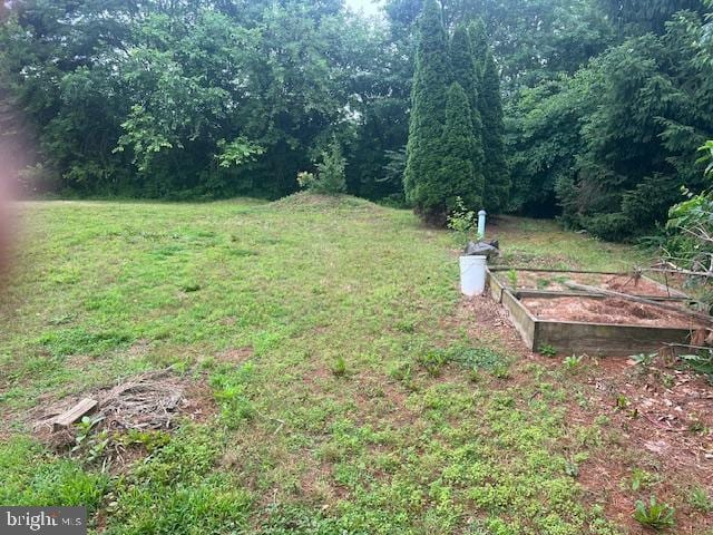 60 Buckwalter Rd, Royersford, PA 19468 - view of grassy yard featuring a garden