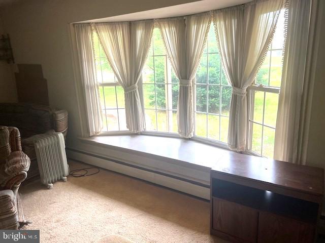60 Buckwalter Rd, Royersford, PA 19468 - sitting room with baseboard heating, radiator, and light carpet