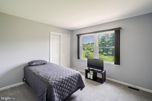 28 Amherst Way, West Windsor, NJ 08550 - carpeted bedroom with baseboards and a closet