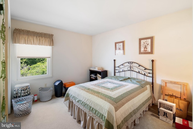 28 Amherst Way, West Windsor, NJ 08550 - view of carpeted bedroom