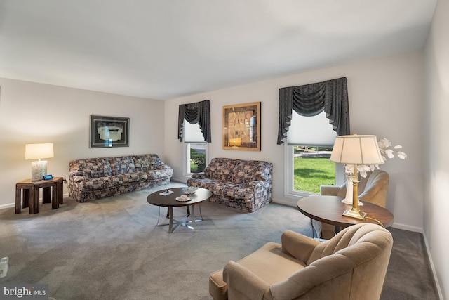 28 Amherst Way, West Windsor, NJ 08550 - living room featuring healthy amount of natural light and carpet