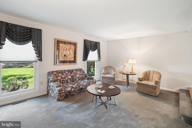 28 Amherst Way, West Windsor, NJ 08550 - living area with healthy amount of natural light and carpet flooring
