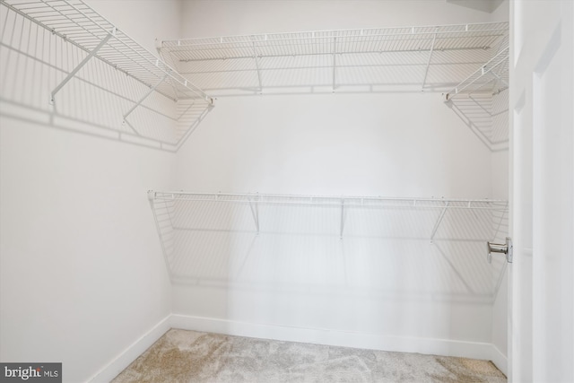 18004 Red Cedar Rd, Dumfries, VA 22026 - walk in closet with carpet floors