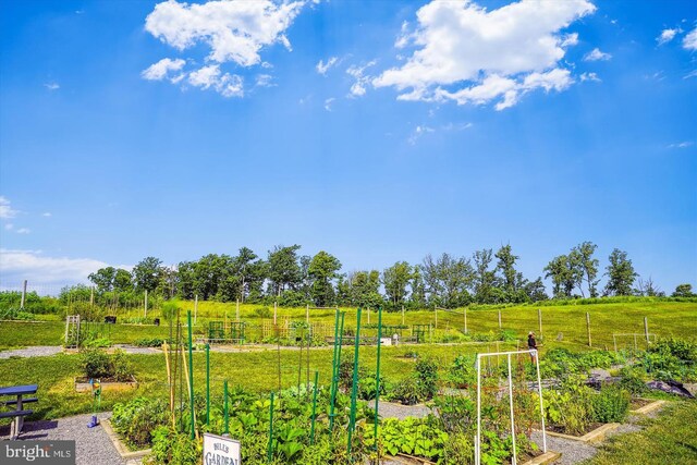 18004 Red Cedar Rd, Dumfries, VA 22026 - view of yard featuring a vegetable garden