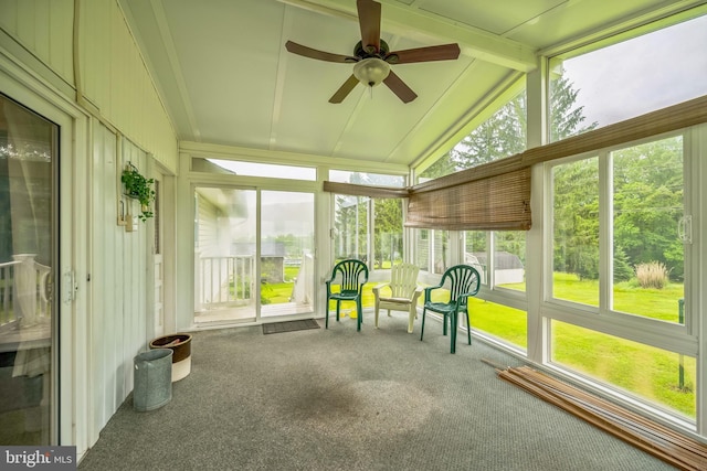 23 Maple St, Ashland, PA 17921 - sunroom featuring a ceiling fan