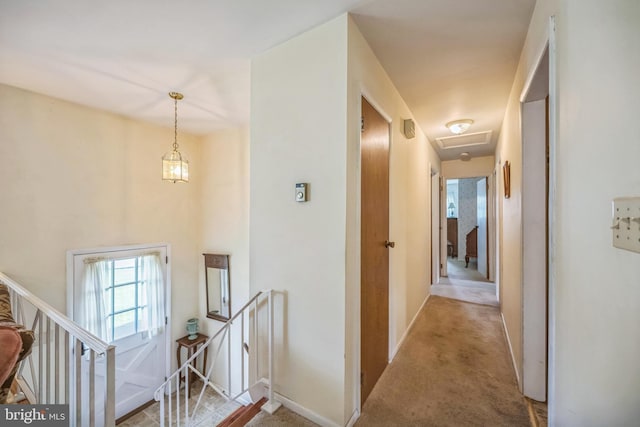 23 Maple St, Ashland, PA 17921 - hallway with an upstairs landing, carpet floors, and attic access