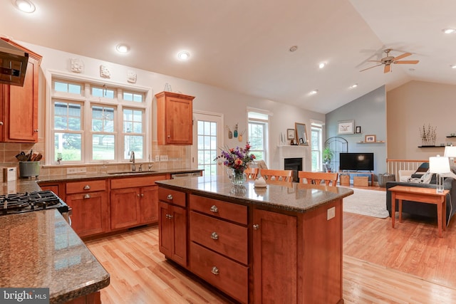 10 Elser Hill Rd, Lititz, PA 17543 - kitchen featuring dark stone countertops, light wood finished floors, backsplash, a center island, and lofted ceiling