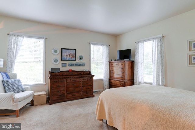 10 Elser Hill Rd, Lititz, PA 17543 - carpeted bedroom with multiple windows