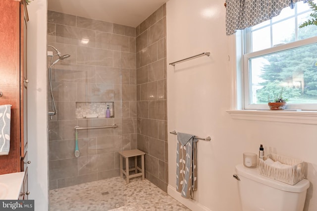 10 Elser Hill Rd, Lititz, PA 17543 - bathroom featuring a tile shower and healthy amount of natural light