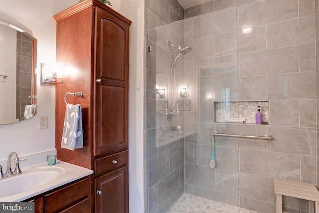 10 Elser Hill Rd, Lititz, PA 17543 - bathroom with a stall shower and vanity