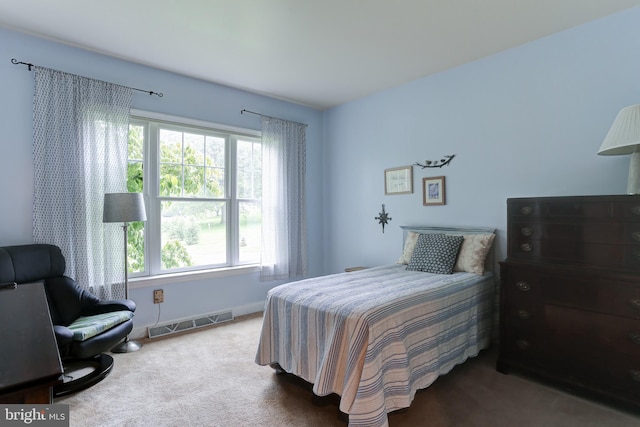 10 Elser Hill Rd, Lititz, PA 17543 - carpeted bedroom with multiple windows