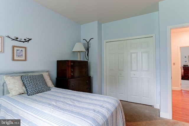 10 Elser Hill Rd, Lititz, PA 17543 - carpeted bedroom with a closet and baseboards